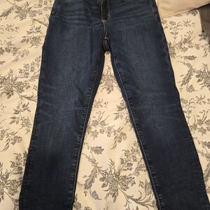 American Eagle Outfitters Dark Blue High Rise Jeggings